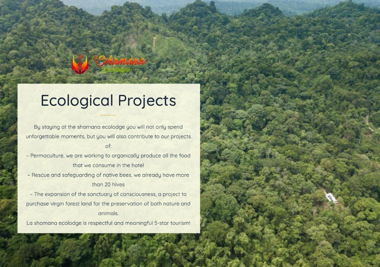 La Shamana - Ecological Concept In Jungle Villa Cahuita Dış mekan fotoğraf