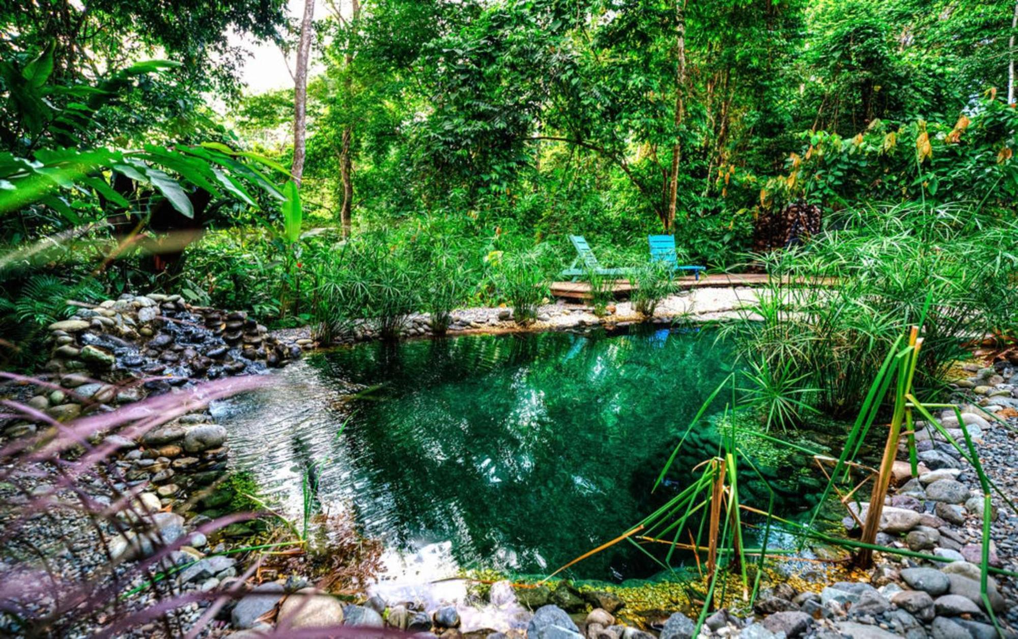 La Shamana - Ecological Concept In Jungle Villa Cahuita Dış mekan fotoğraf