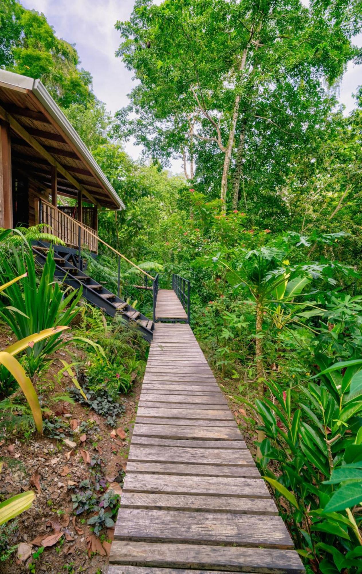 La Shamana - Ecological Concept In Jungle Villa Cahuita Dış mekan fotoğraf