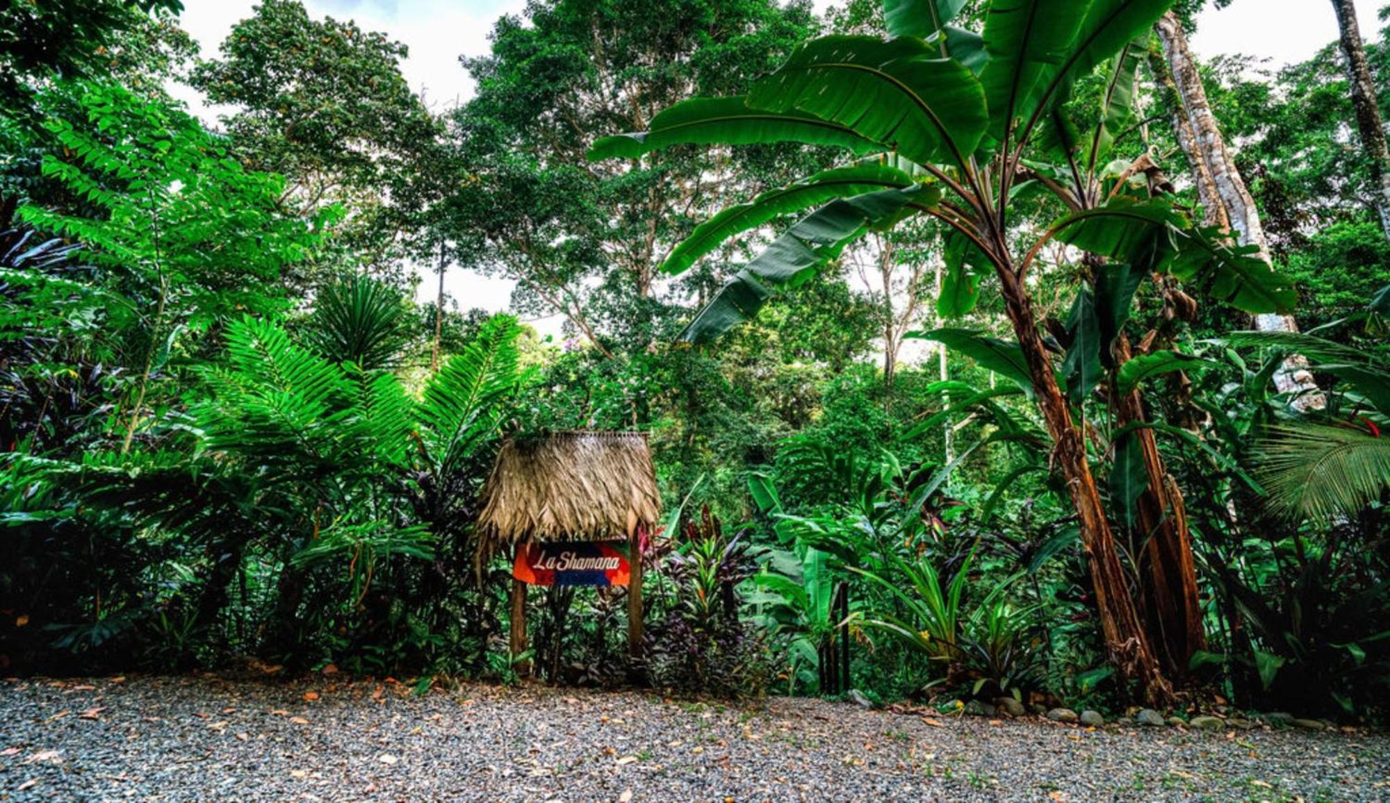 La Shamana - Ecological Concept In Jungle Villa Cahuita Dış mekan fotoğraf