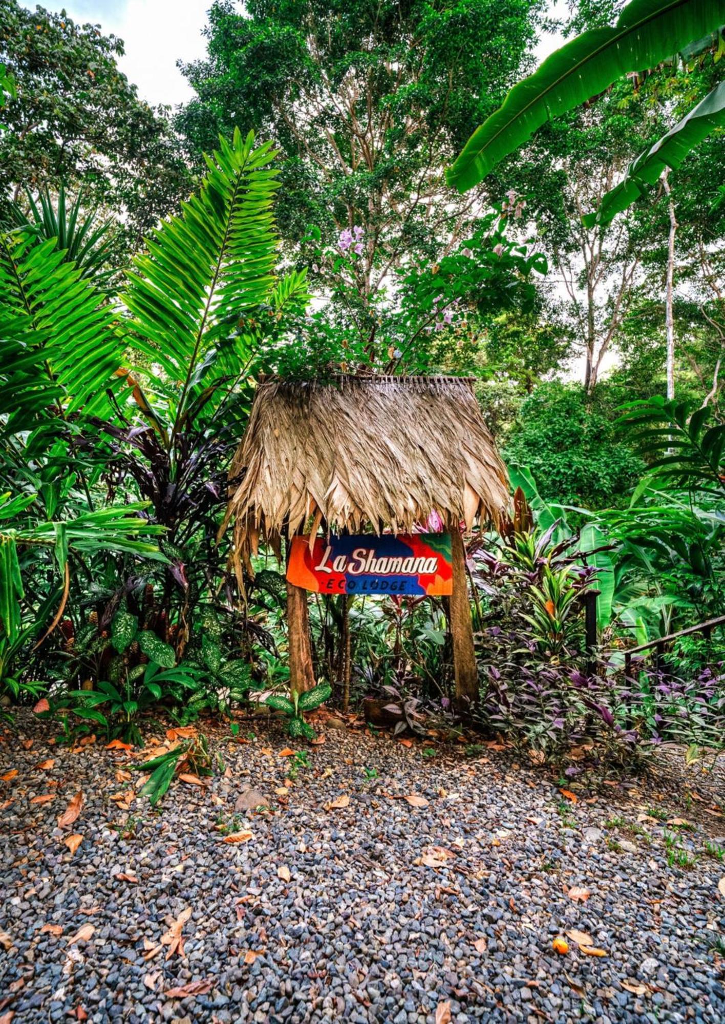 La Shamana - Ecological Concept In Jungle Villa Cahuita Dış mekan fotoğraf