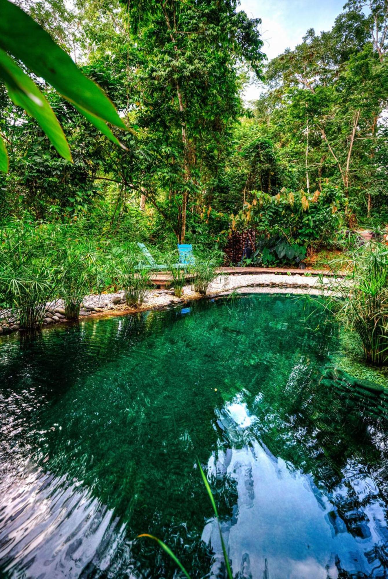 La Shamana - Ecological Concept In Jungle Villa Cahuita Dış mekan fotoğraf