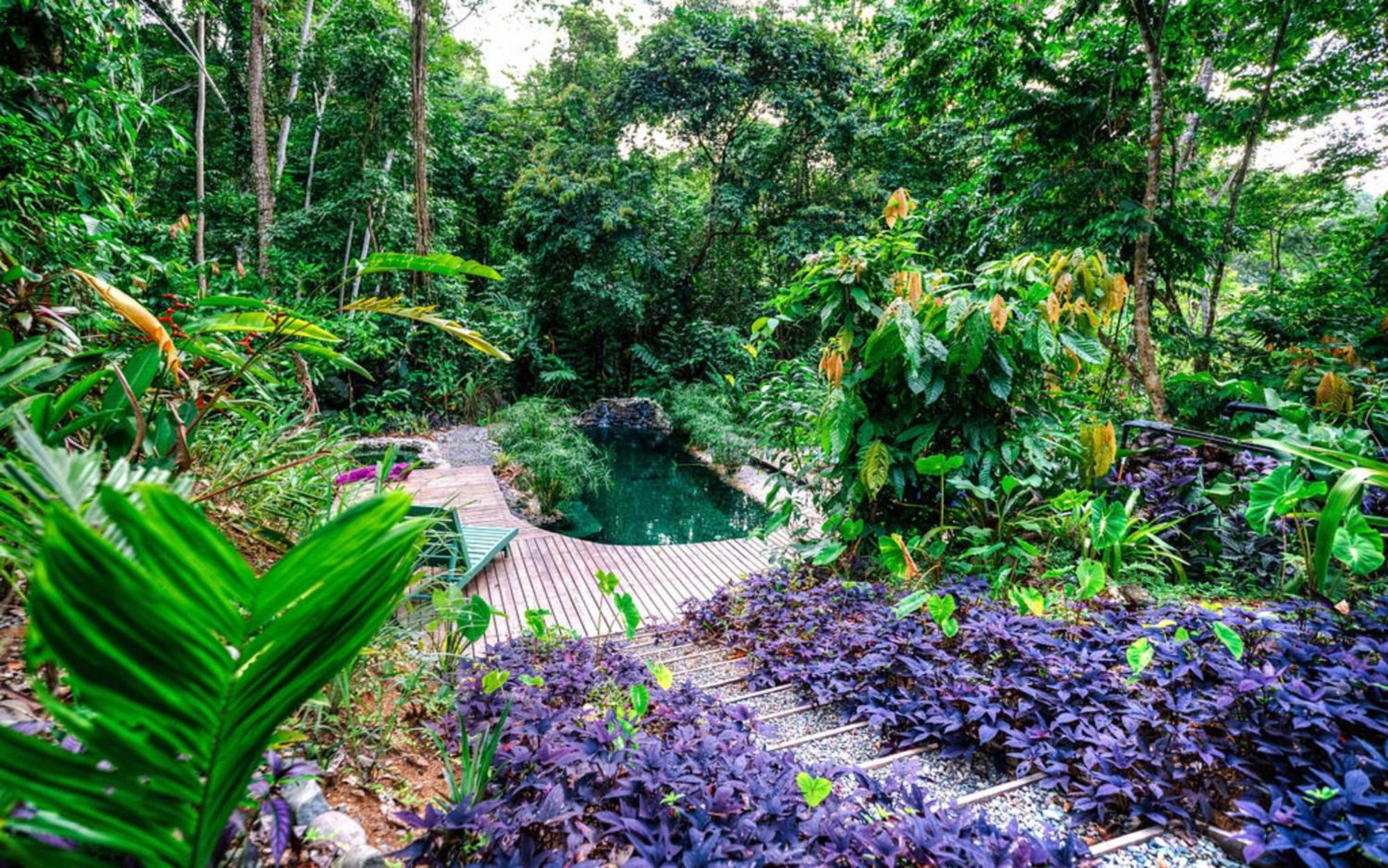 La Shamana - Ecological Concept In Jungle Villa Cahuita Dış mekan fotoğraf