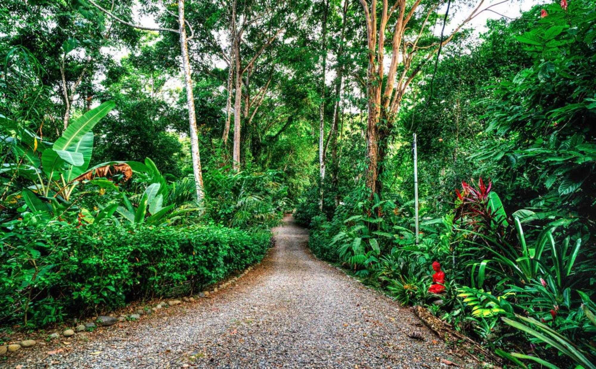 La Shamana - Ecological Concept In Jungle Villa Cahuita Dış mekan fotoğraf