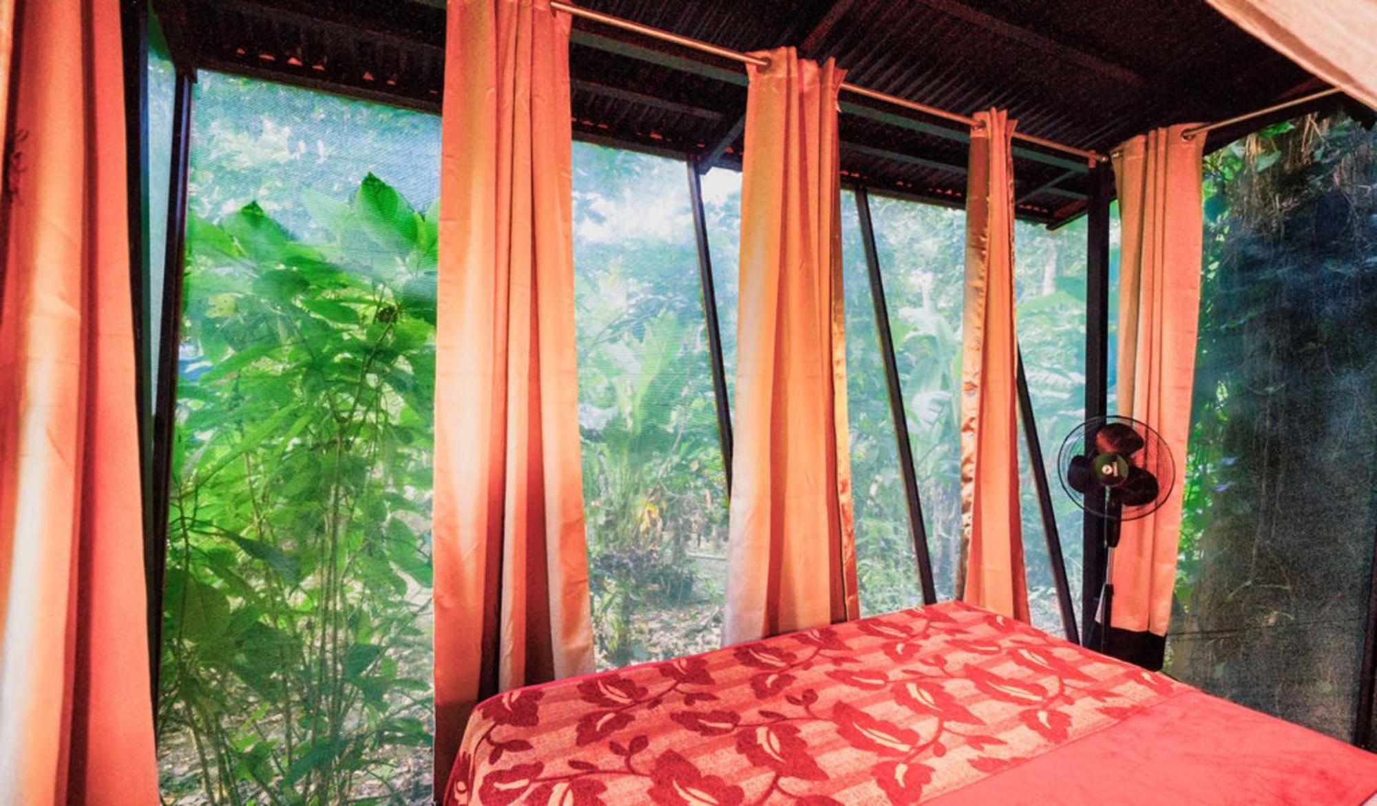 La Shamana - Ecological Concept In Jungle Villa Cahuita Oda fotoğraf