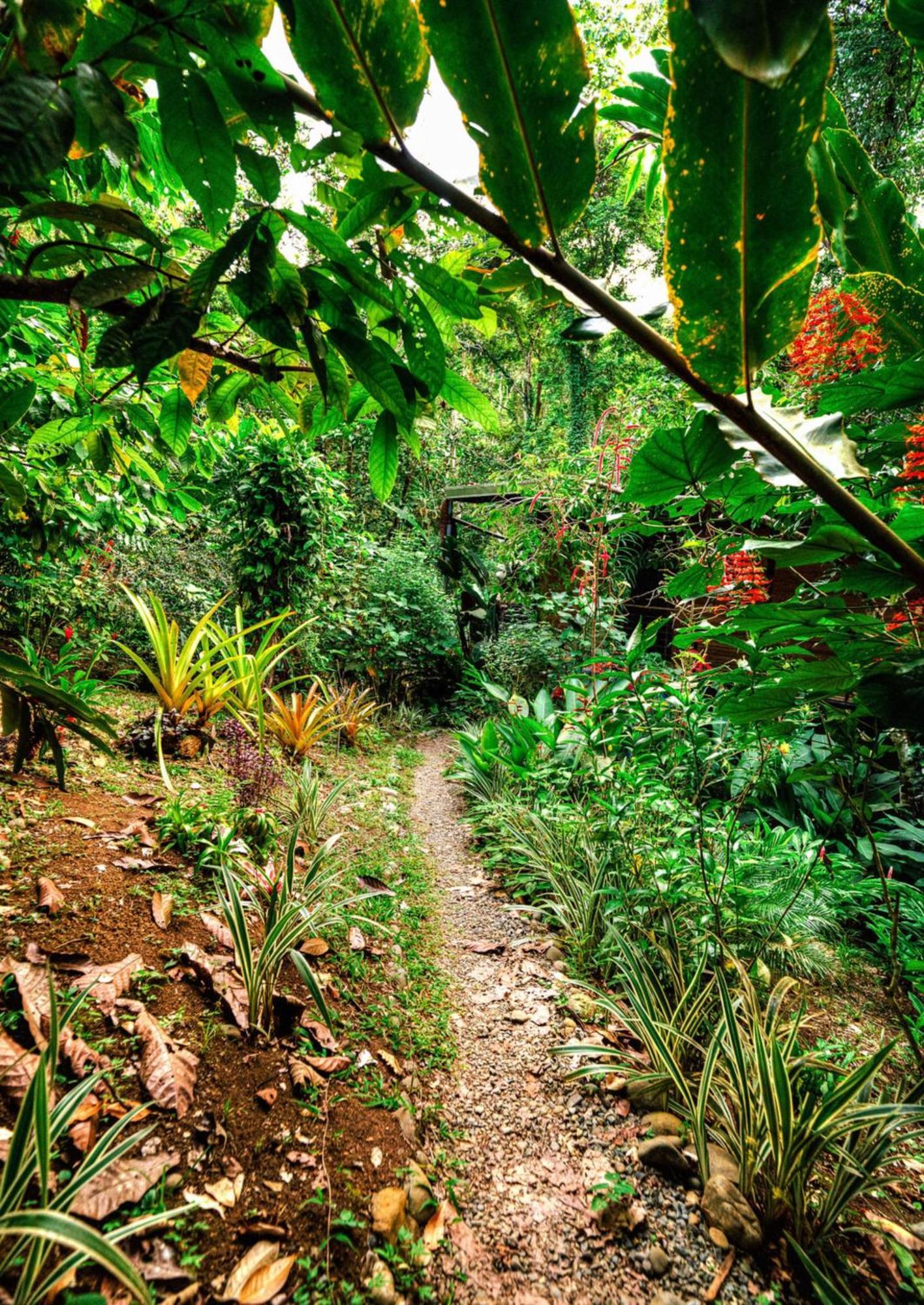 La Shamana - Ecological Concept In Jungle Villa Cahuita Dış mekan fotoğraf