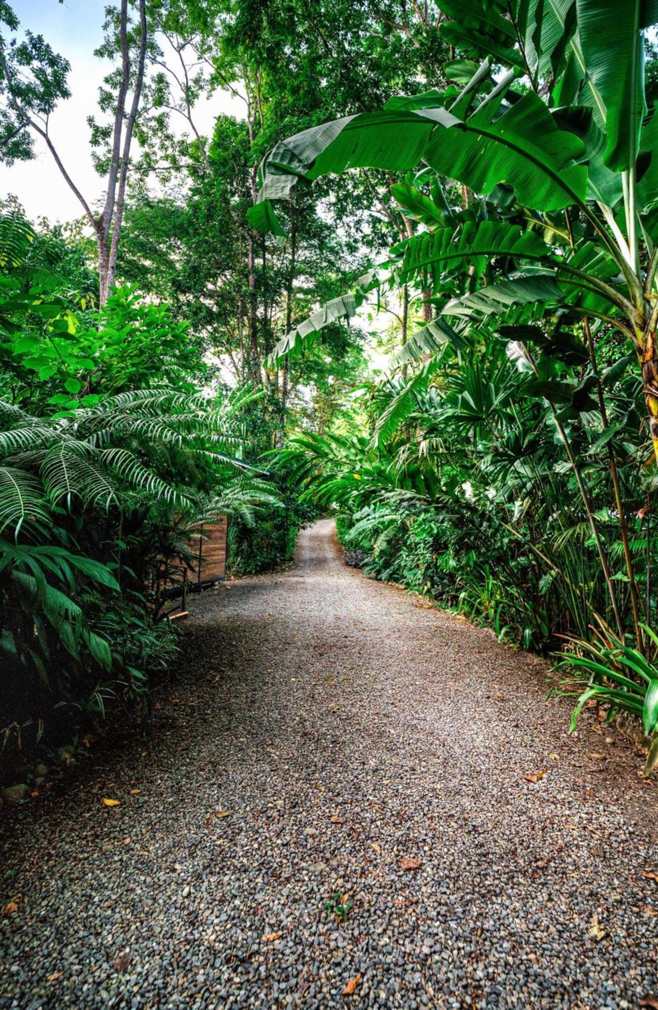 La Shamana - Ecological Concept In Jungle Villa Cahuita Dış mekan fotoğraf
