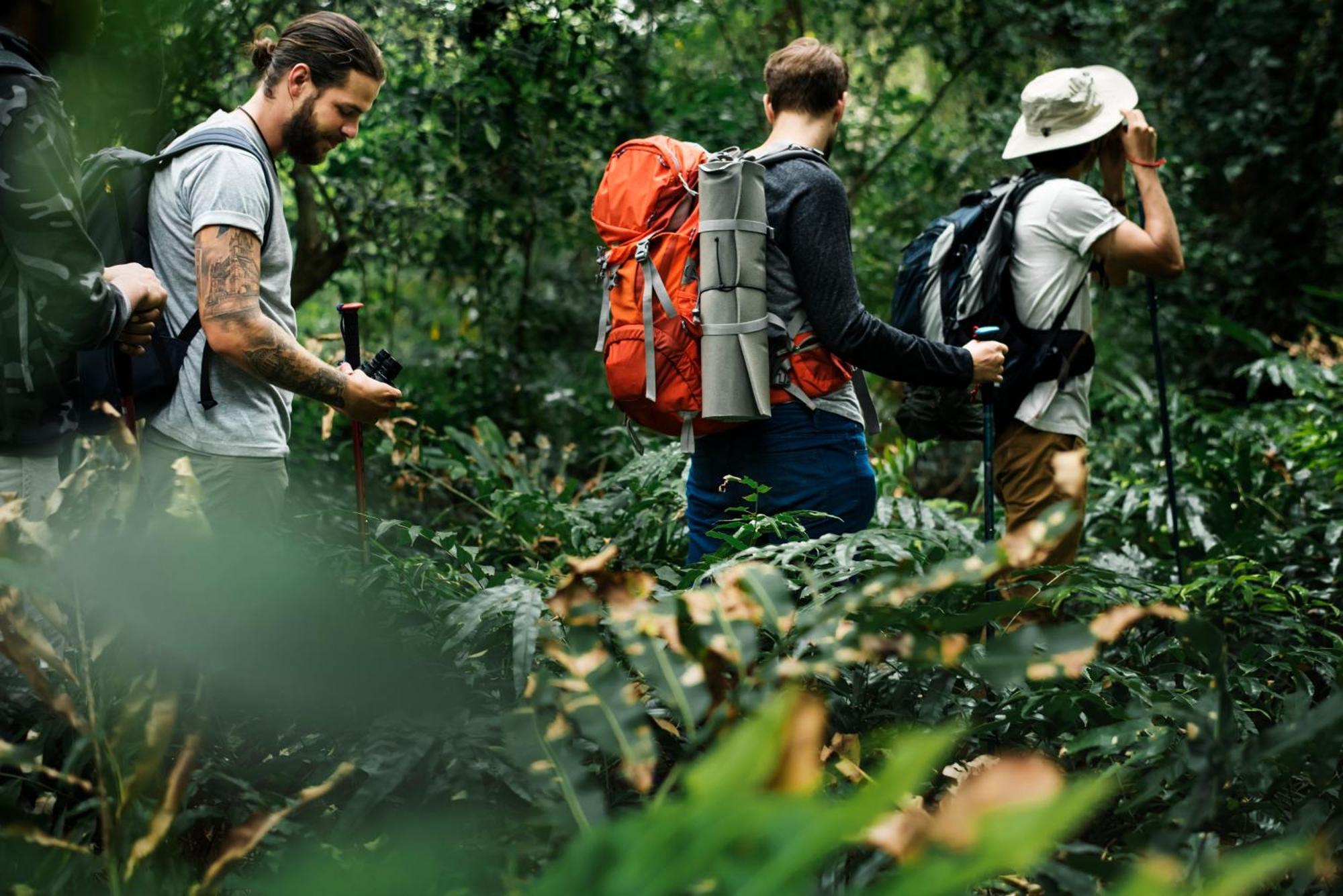 La Shamana - Ecological Concept In Jungle Villa Cahuita Dış mekan fotoğraf